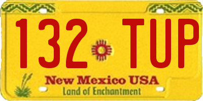 NM license plate 132TUP