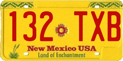 NM license plate 132TXB