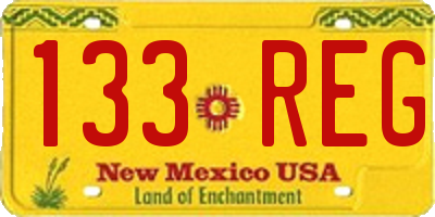 NM license plate 133REG