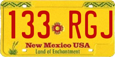 NM license plate 133RGJ