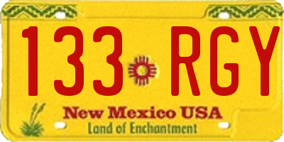 NM license plate 133RGY