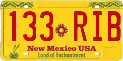 NM license plate 133RIB