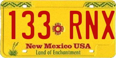 NM license plate 133RNX