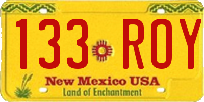 NM license plate 133ROY