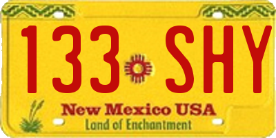 NM license plate 133SHY