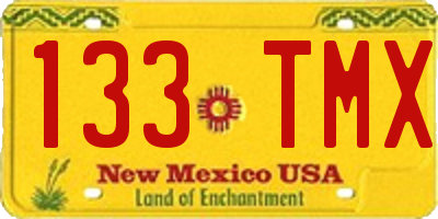 NM license plate 133TMX