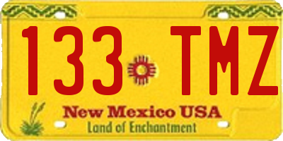 NM license plate 133TMZ