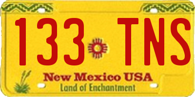 NM license plate 133TNS