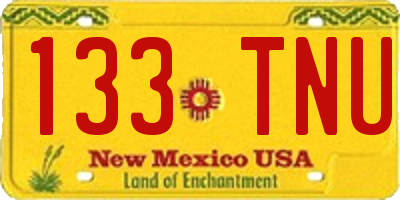 NM license plate 133TNU