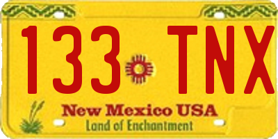 NM license plate 133TNX