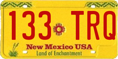 NM license plate 133TRQ