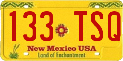 NM license plate 133TSQ