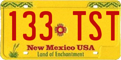 NM license plate 133TST