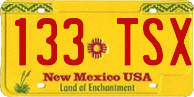 NM license plate 133TSX