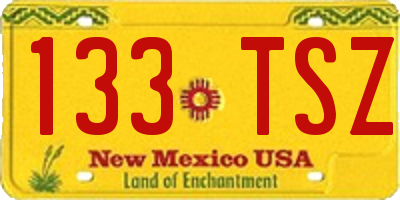 NM license plate 133TSZ