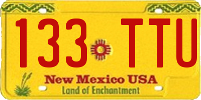 NM license plate 133TTU