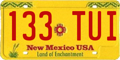 NM license plate 133TUI