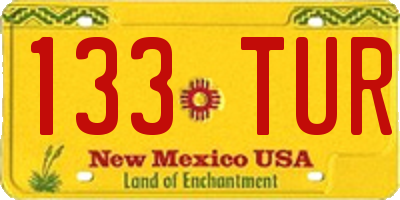 NM license plate 133TUR