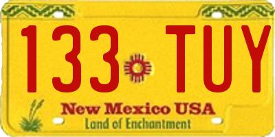 NM license plate 133TUY