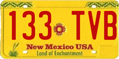 NM license plate 133TVB