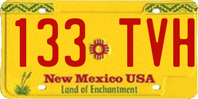 NM license plate 133TVH