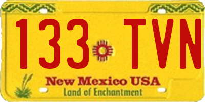 NM license plate 133TVN