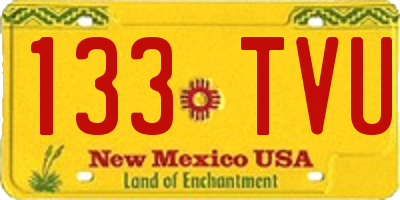 NM license plate 133TVU