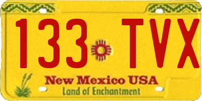 NM license plate 133TVX
