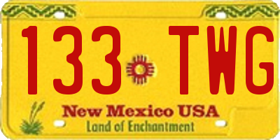NM license plate 133TWG