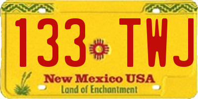 NM license plate 133TWJ