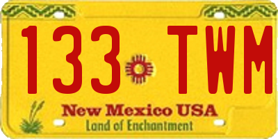 NM license plate 133TWM