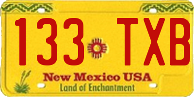 NM license plate 133TXB