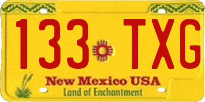 NM license plate 133TXG