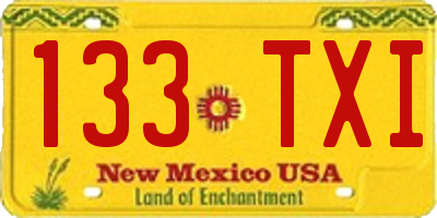 NM license plate 133TXI
