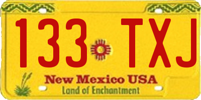 NM license plate 133TXJ
