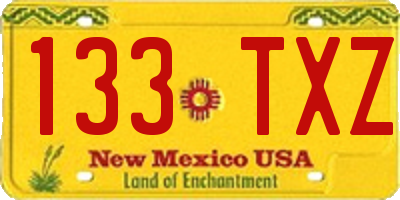 NM license plate 133TXZ