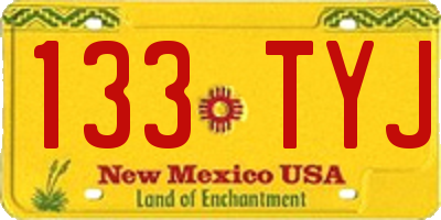 NM license plate 133TYJ