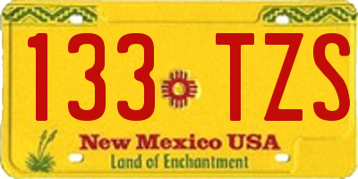 NM license plate 133TZS