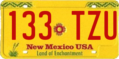 NM license plate 133TZU