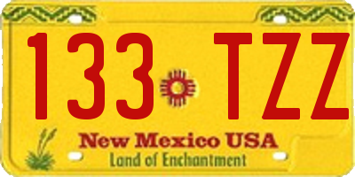 NM license plate 133TZZ