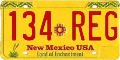 NM license plate 134REG