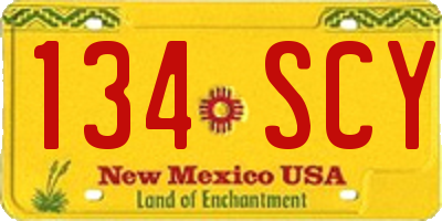 NM license plate 134SCY