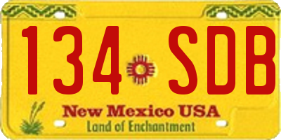 NM license plate 134SDB
