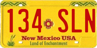 NM license plate 134SLN