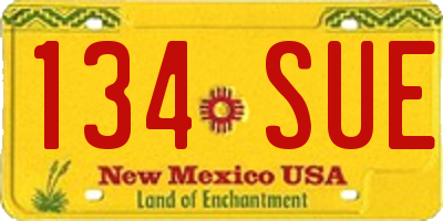 NM license plate 134SUE