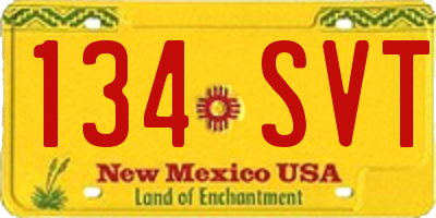NM license plate 134SVT