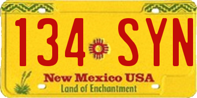 NM license plate 134SYN
