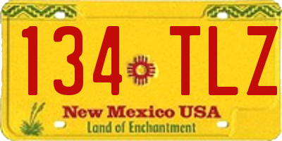 NM license plate 134TLZ