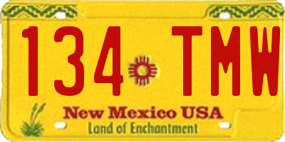 NM license plate 134TMW