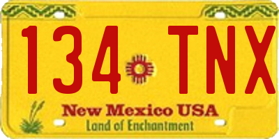 NM license plate 134TNX